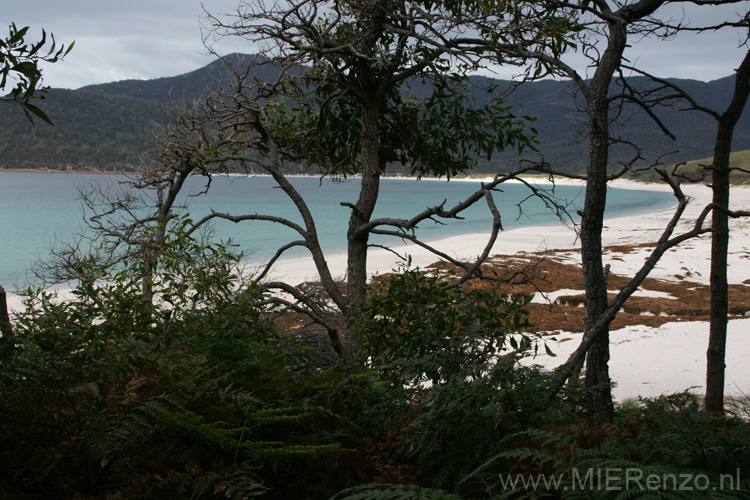 20110403145717 Strand Wineglass Bay