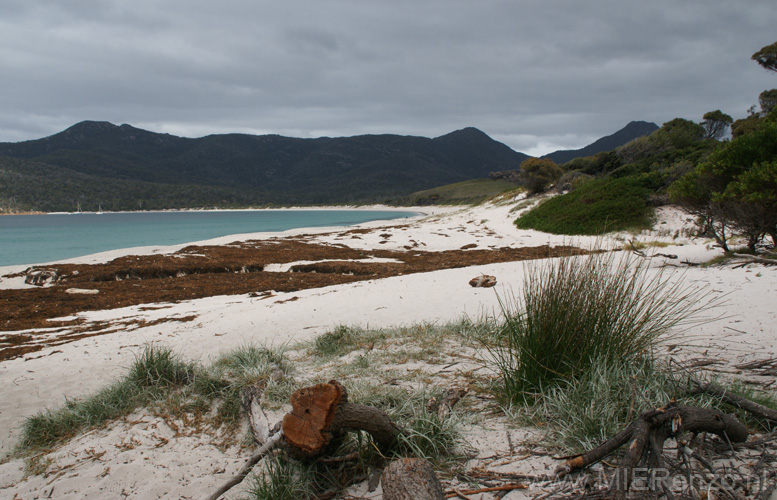 20110403145818 Strand Wineglass Bay