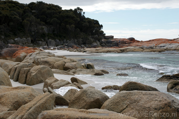 20110404114611 Mier - Tasmanië - 