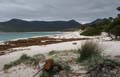 20110403145818 Strand Wineglass Bay