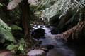 20110404140718 Columba Falls