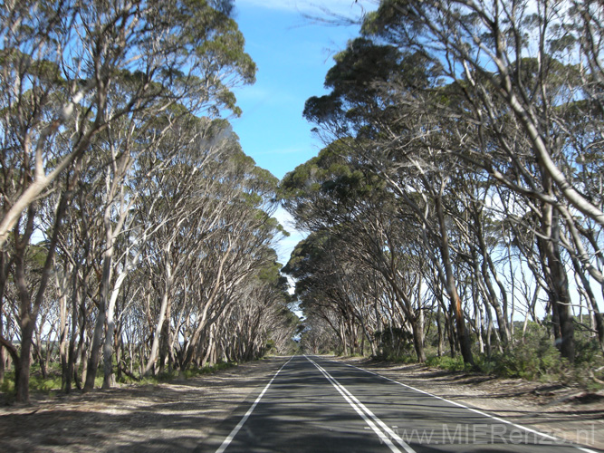 20110414134608 Welkom op Kangaroo Island