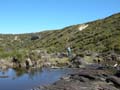 20110417111434 Mier langs de rivier Snake Lagoon (Marieke) 
