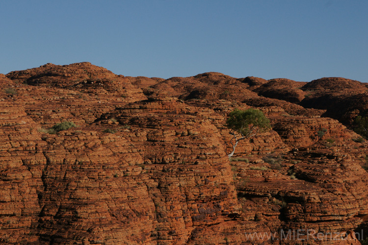 20110422090639 Kings Canyon