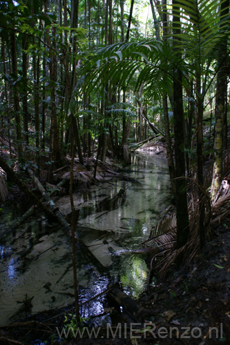 20110425104727 Wanggoolba Creek