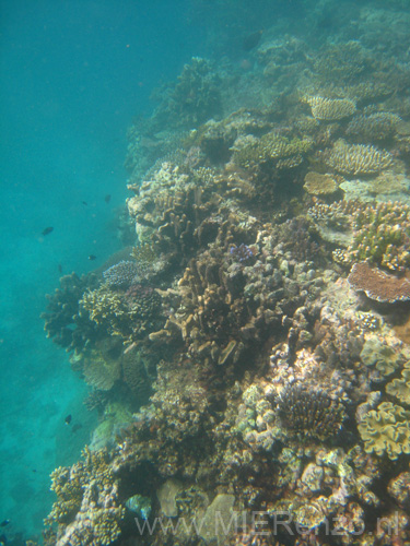 20110501091914 Great Barrier Reef