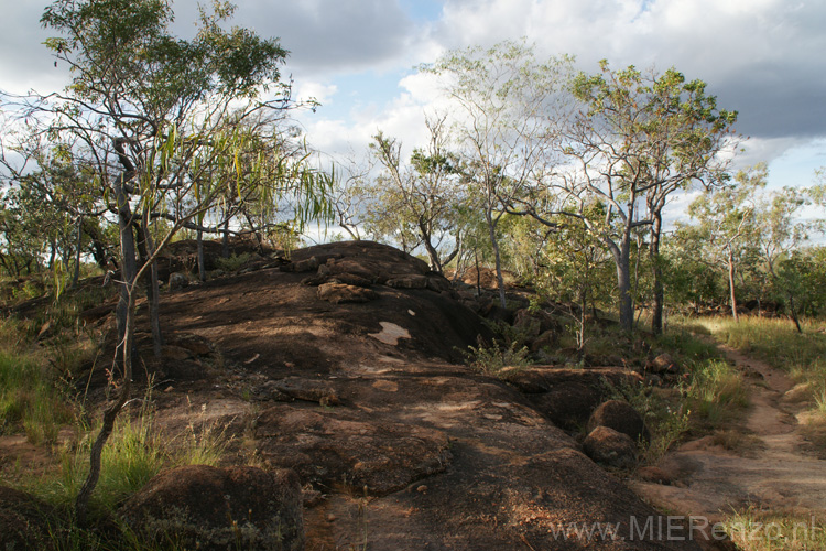 20110503164251 Undara Lava tubes