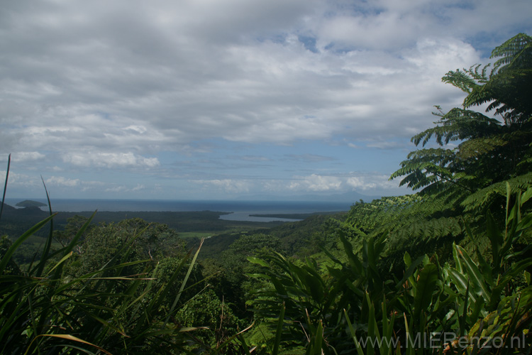 20110505105435 Daintree NP