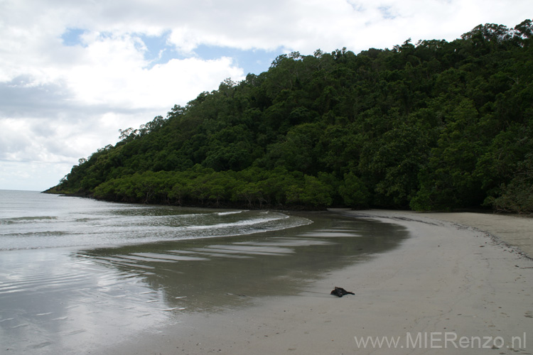 20110505115258 Cape Tribulation