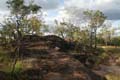 20110503164251 Undara Lava tubes