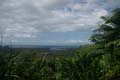 20110505105435 Daintree NP