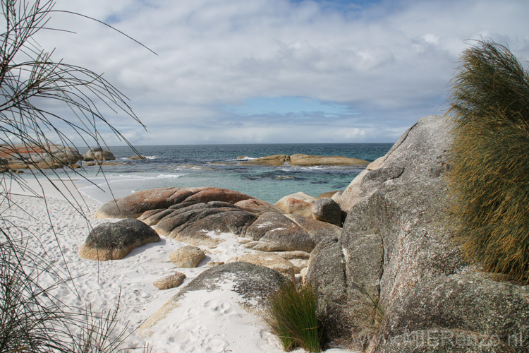 20110404115403 Tasmanië