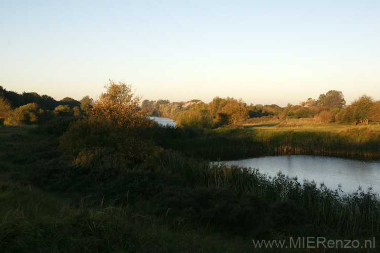 20101010083828 Amsterdamse waterleidingduinen