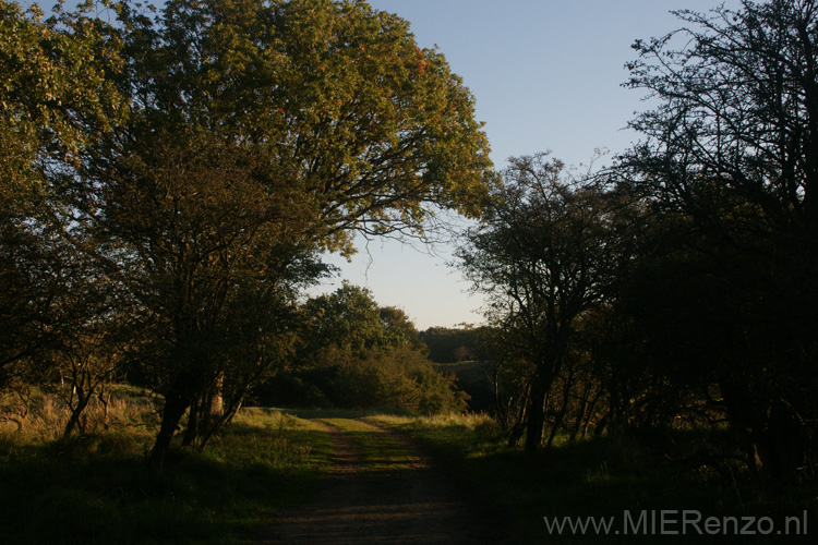 20101010091341 Amsterdamse waterleidingduinen