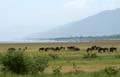 20100125135210 TanZanM - Lake Manyara NP