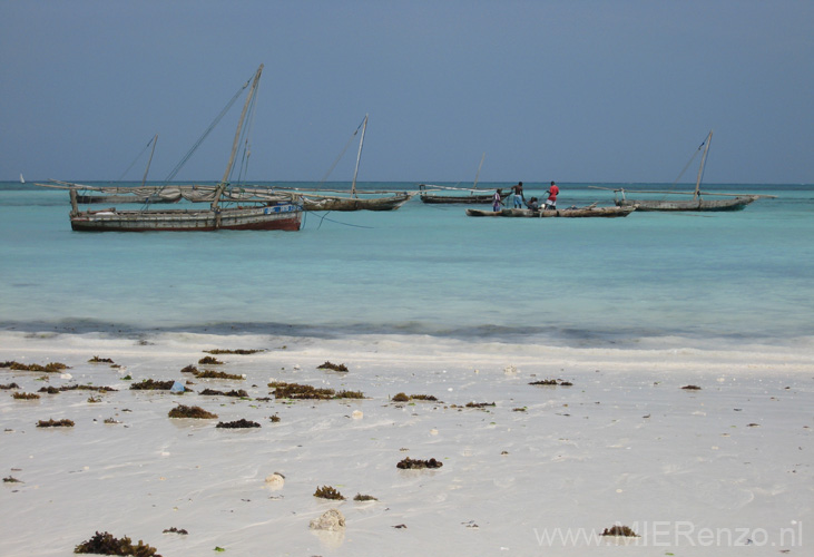 20100203101406 TanZanM - Zanzibar - Nungwi