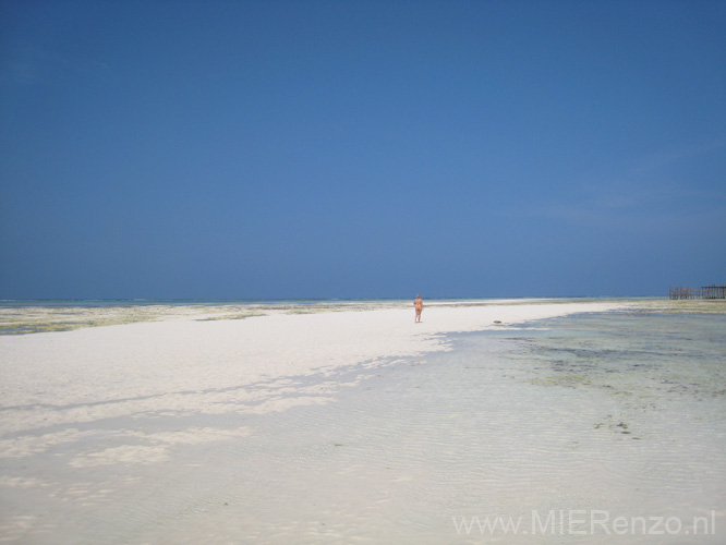 20100204145401 TanZanM - Zanzibar - Nungwi