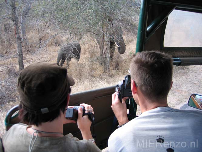 20060903 B (05) Z-Afrika - Kruger