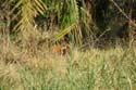 20060908 C (05) - Zimbabwe - Vic Falls
