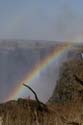 20060908 C (14) - Zimbabwe - Vic Falls