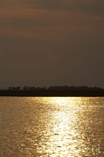 20060909 C (83) - Botswana - Chobe NP