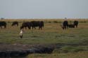 20060909 D (23) - Botswana - Chobe NP