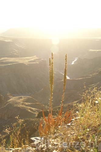 20060923 A (10b) Namibië - Fish River Canyon