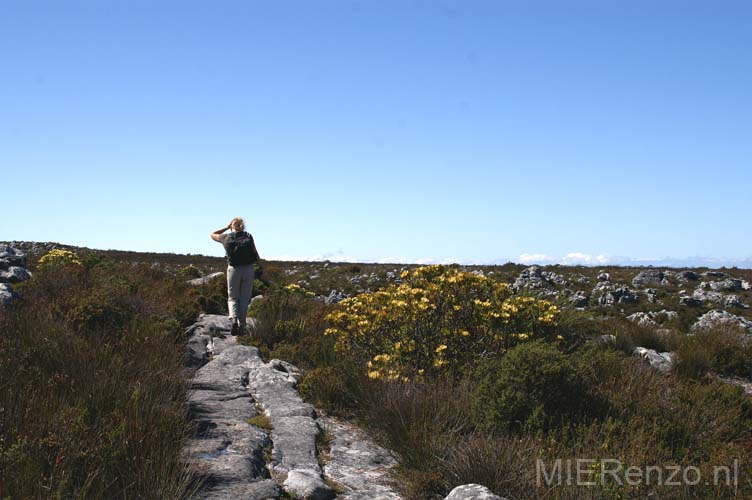 20060926 A (20) Zuid Afrika - Kaapstad - Tafelberg