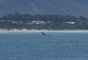 20060927 A (28) Zuid Afrika - Hermanus