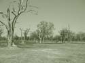 20060912 A (72) - Botswana - Moremi NP