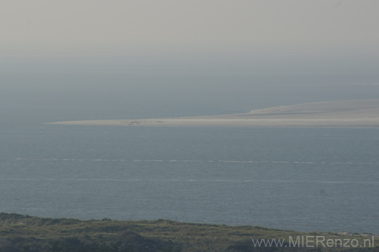 20111022113644 Ameland - De zeehondenplaat