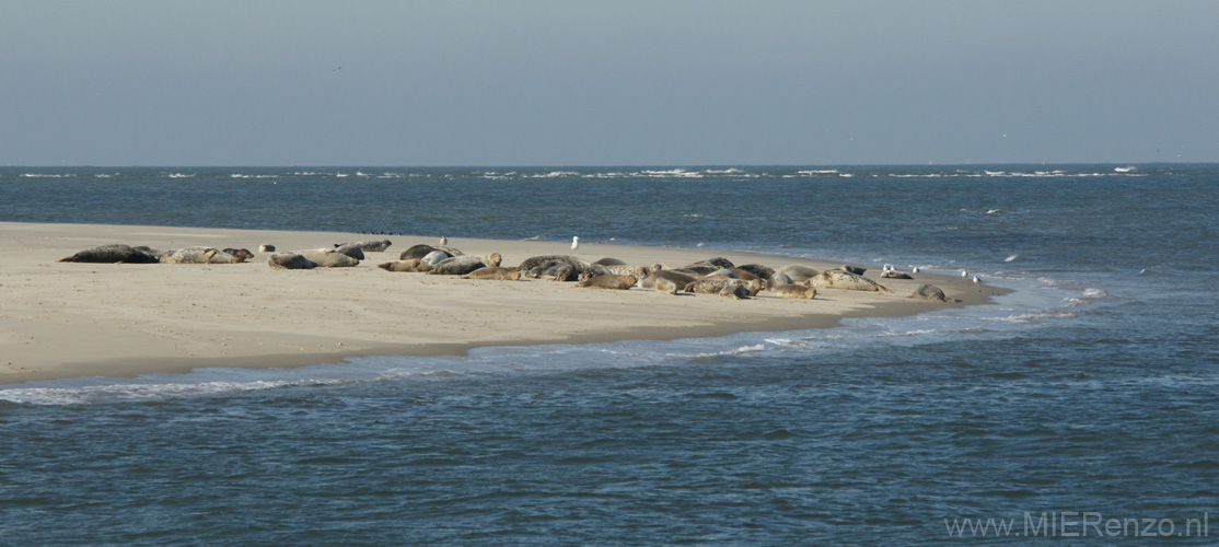 20111022142557 Ameland - 