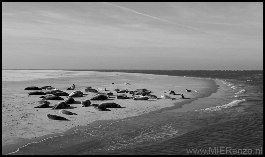 20111022144447 Ameland -