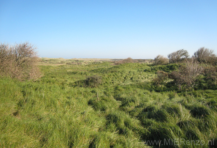 20111023130216 Ameland - 