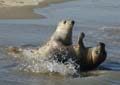 20111022143553 Ameland - 