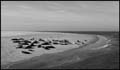 20111022144447 Ameland -