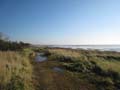 20111023115202 Ameland - 