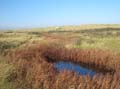 20111023123627 Ameland - 