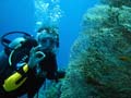 20100518121202  Egypte - Mier