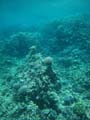 20100519120035  Egypte