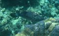 20100521121710  Egypte
