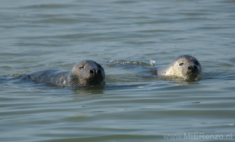 20110929145934 Terschelling-