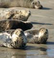 20110929145719 Terschelling