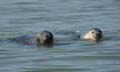 20110929145934 Terschelling-