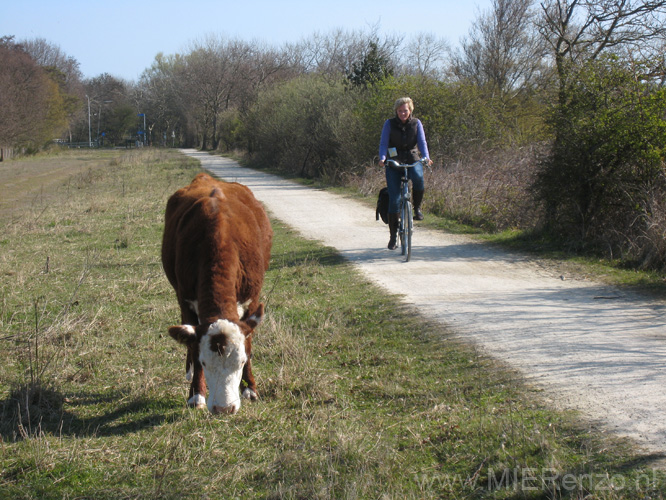 20100417 (02) Landelijk fietstochtje