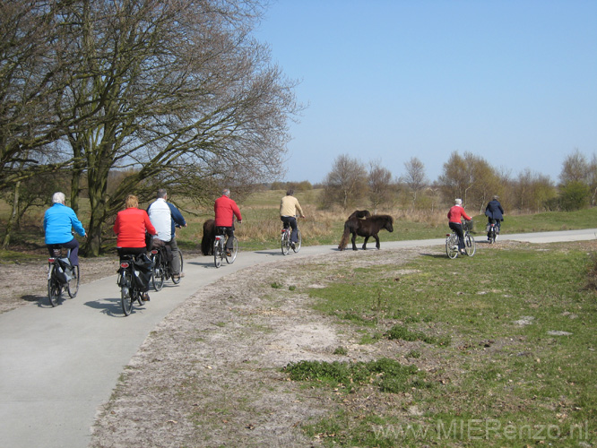 20100418 (4) En nu paarden op de weg