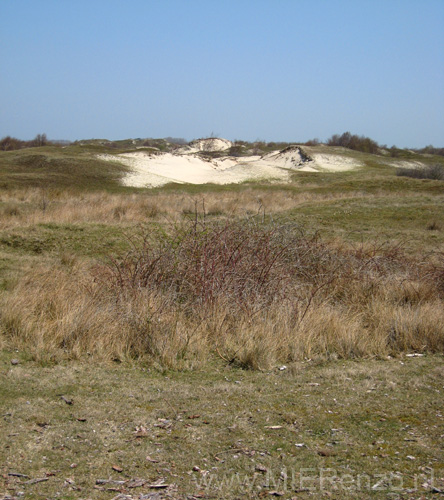 20100418 (6) Zeeuwse duinen
