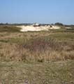 20100418 (6) Zeeuwse duinen