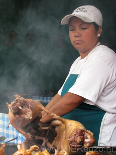 20080502 A (04) Banos - Cavia's op de grill