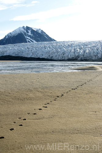 20100831122832 Spitsbergen - Engelsk bukta